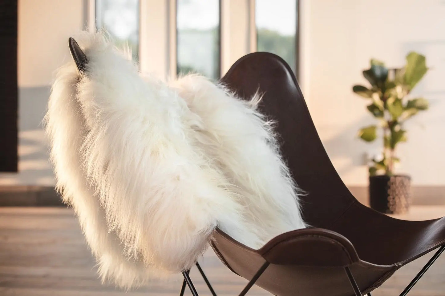 Sheepskin rug Ab3