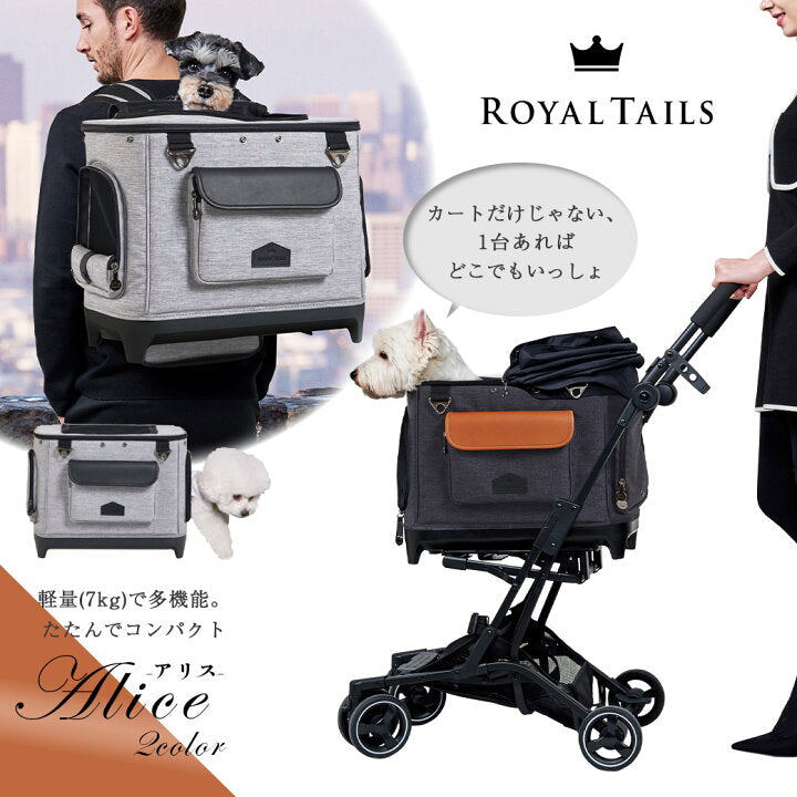 Pet bag, backpack