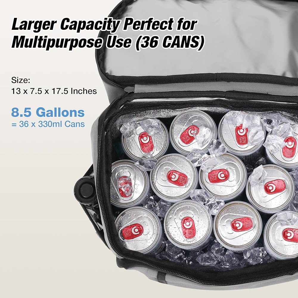 Ice pack, cooler bag