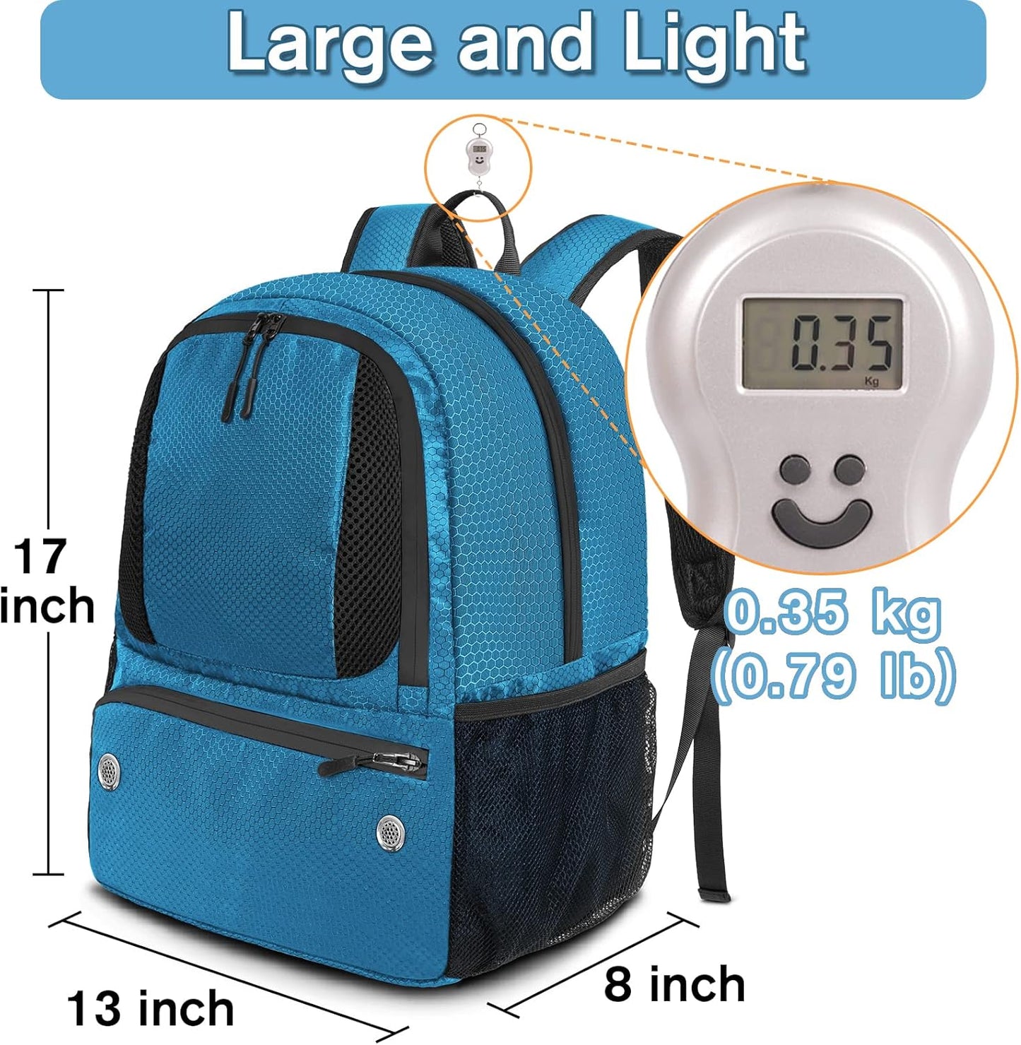 Preloved USA Lot Colorful light weight Backpack