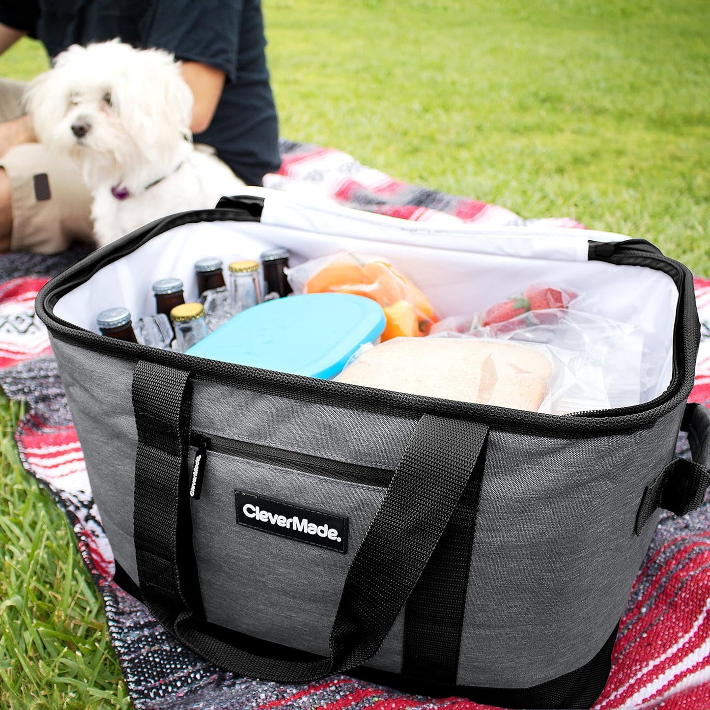 Cooler backpack, ice pack,