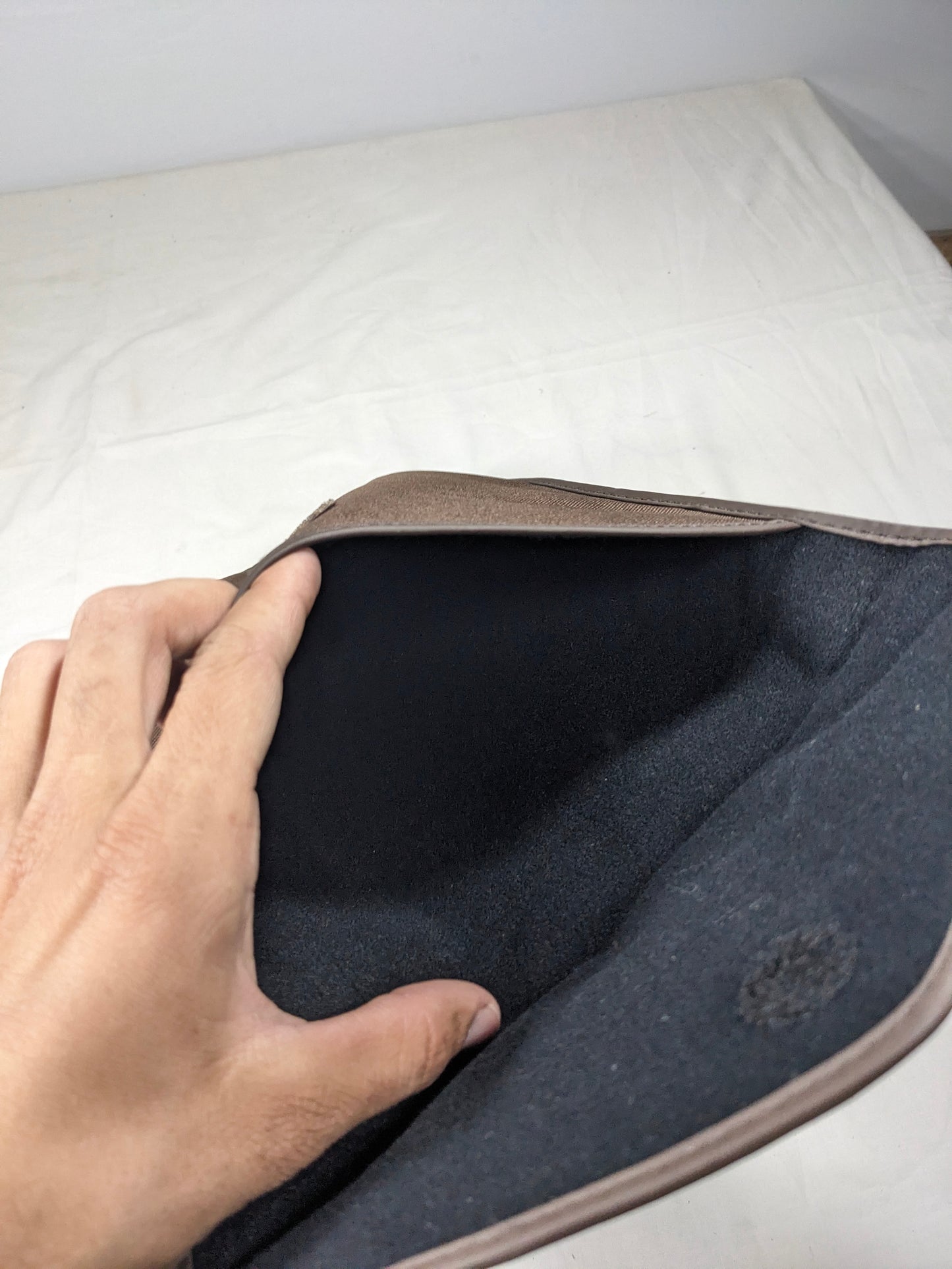 asus brand sleeve