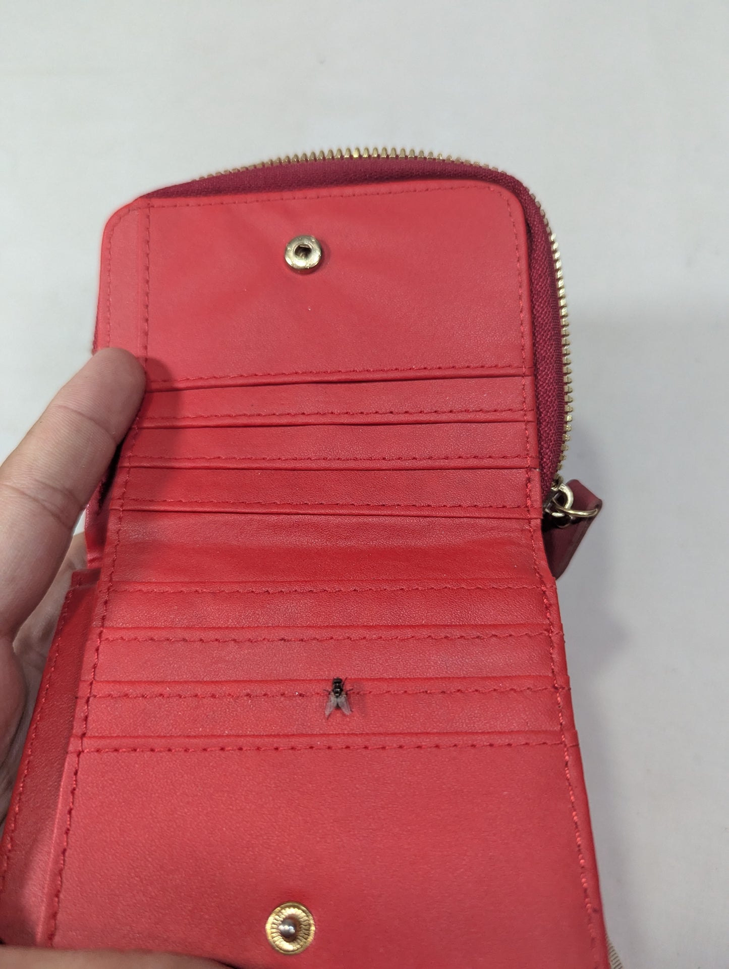 Aesthetic wallet