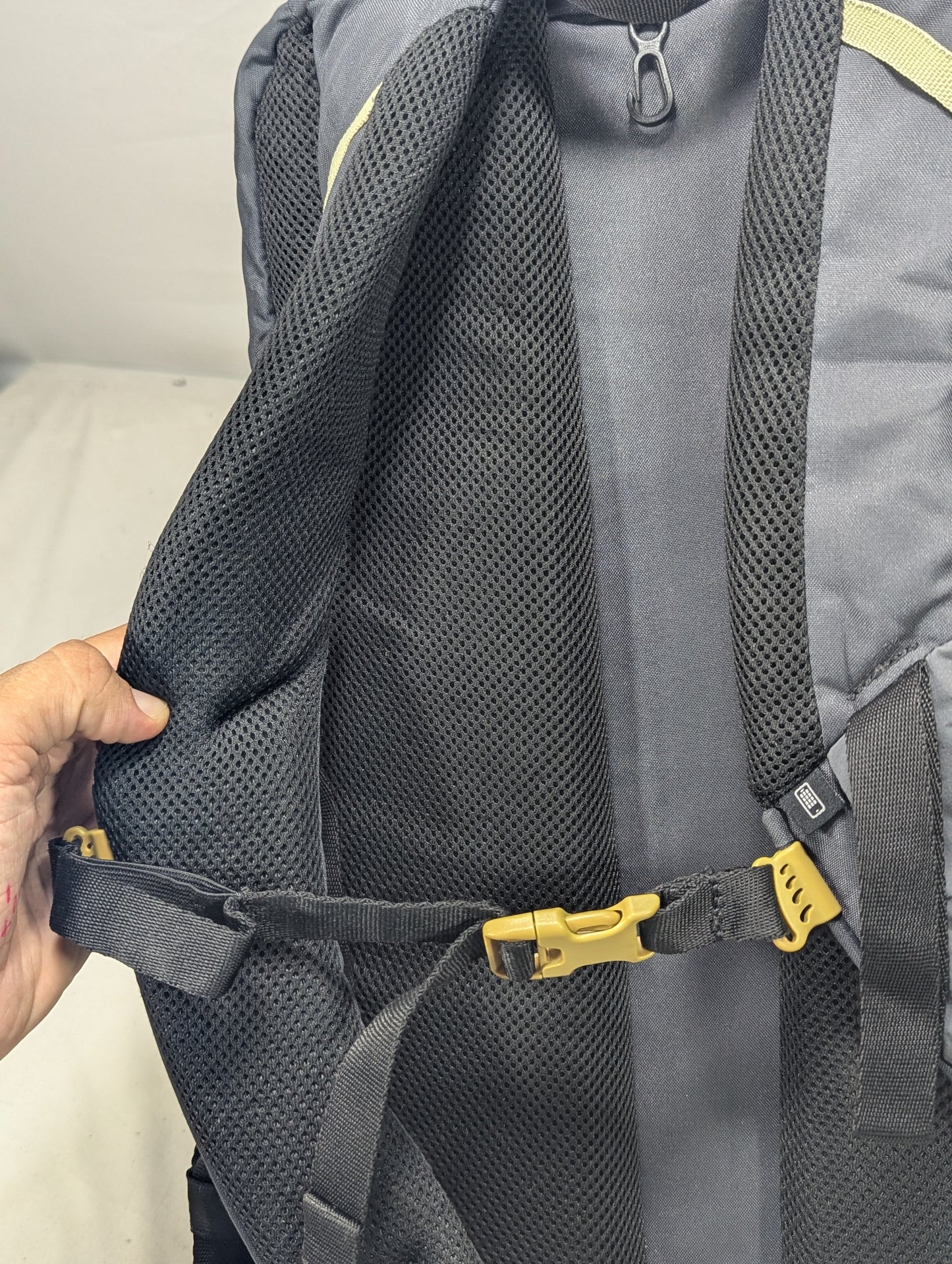 Quechua French brand hiking, cooler backpack