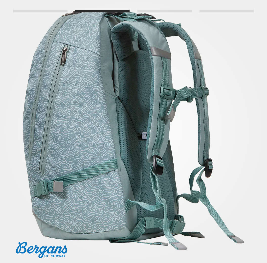 Preloved authentic backpack with laptop portion