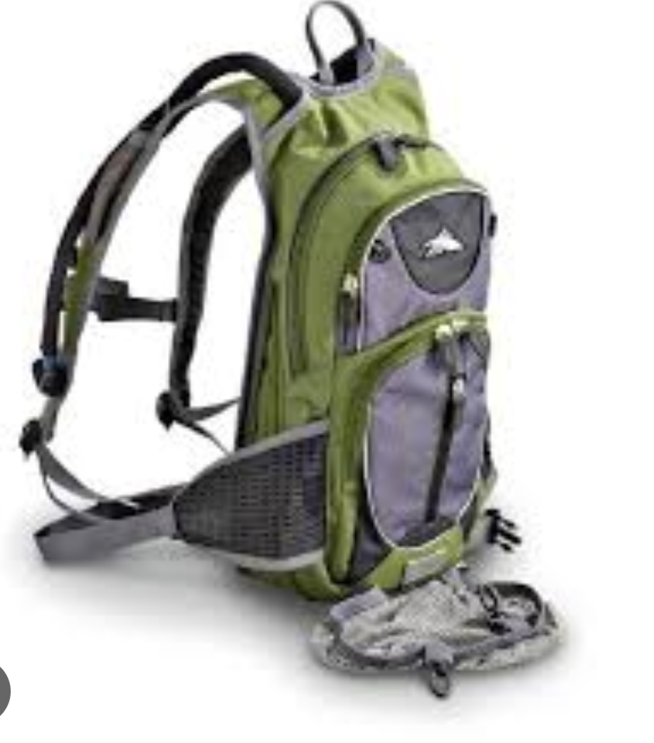 High Sierra mini backpack