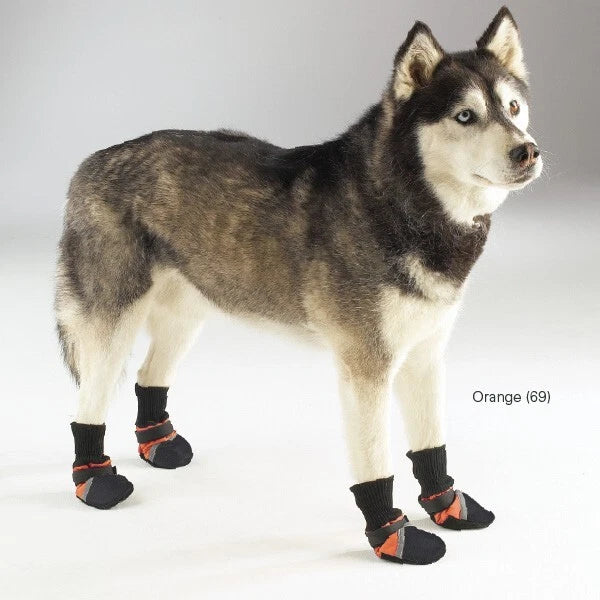 Dog shoes, anti rain boots