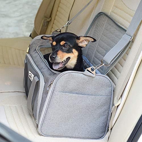Pet bag
