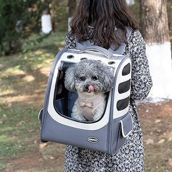 Pet backpack
