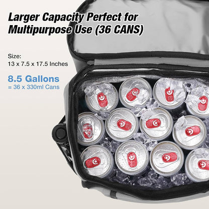 Ice pack, cooler bag