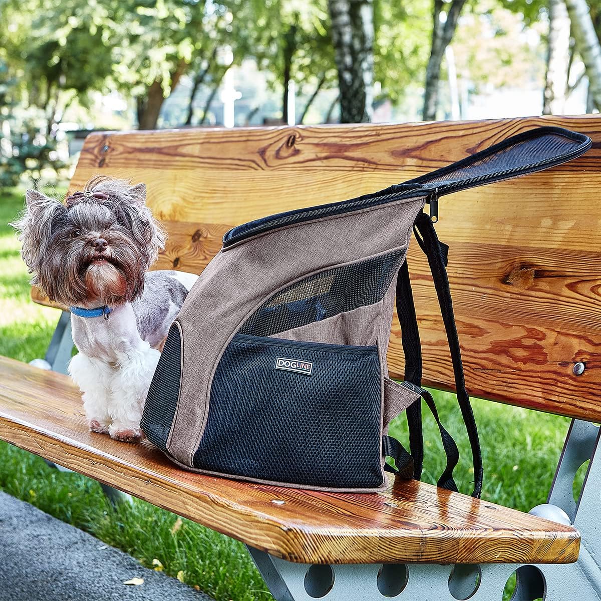 Pet backpack