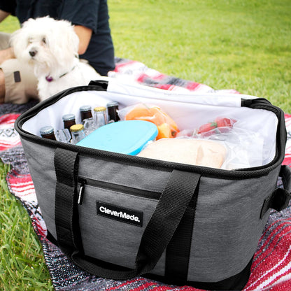 Cooler backpack, ice pack,