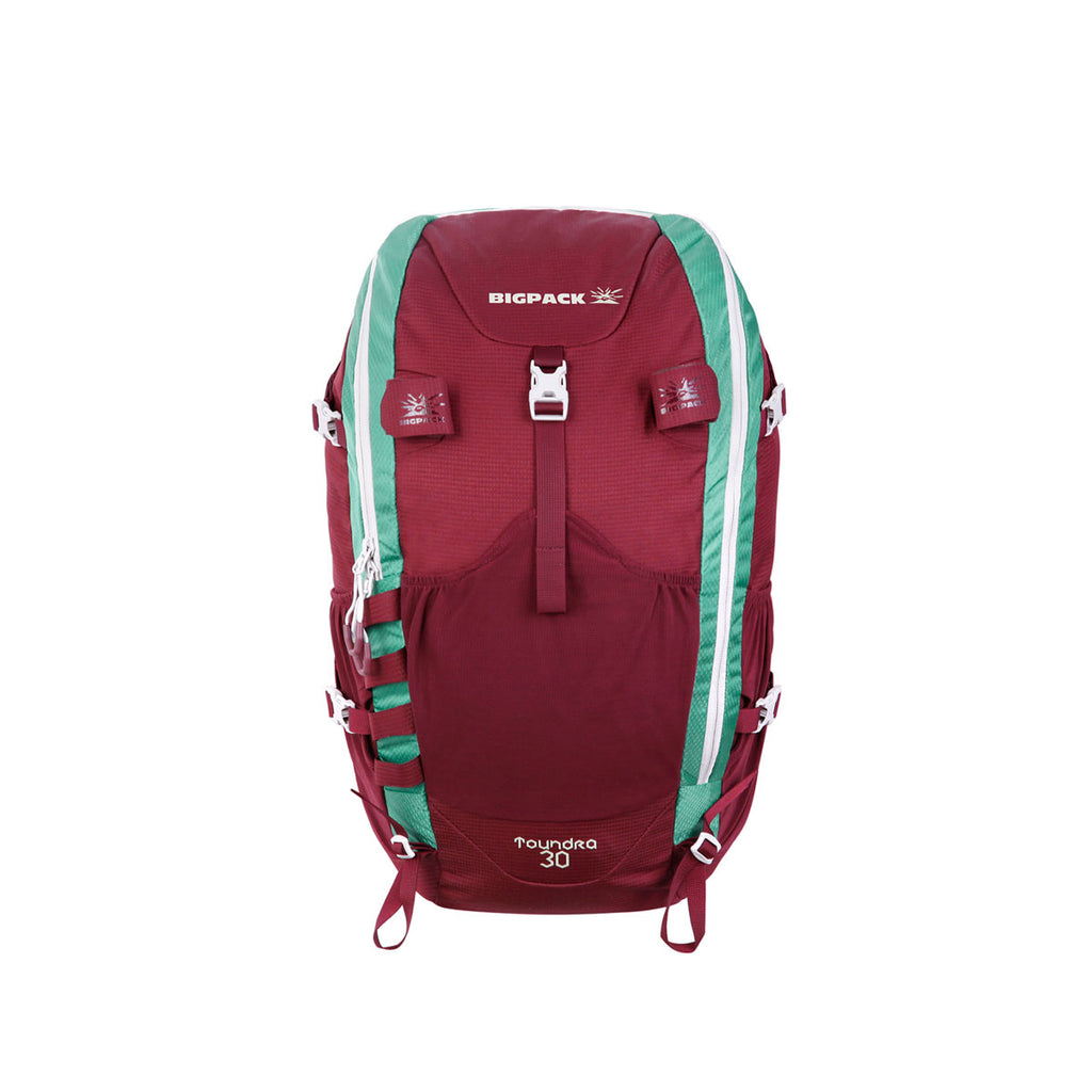 Hiking tourist backpack
