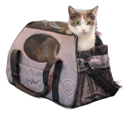 PET  T will update soon