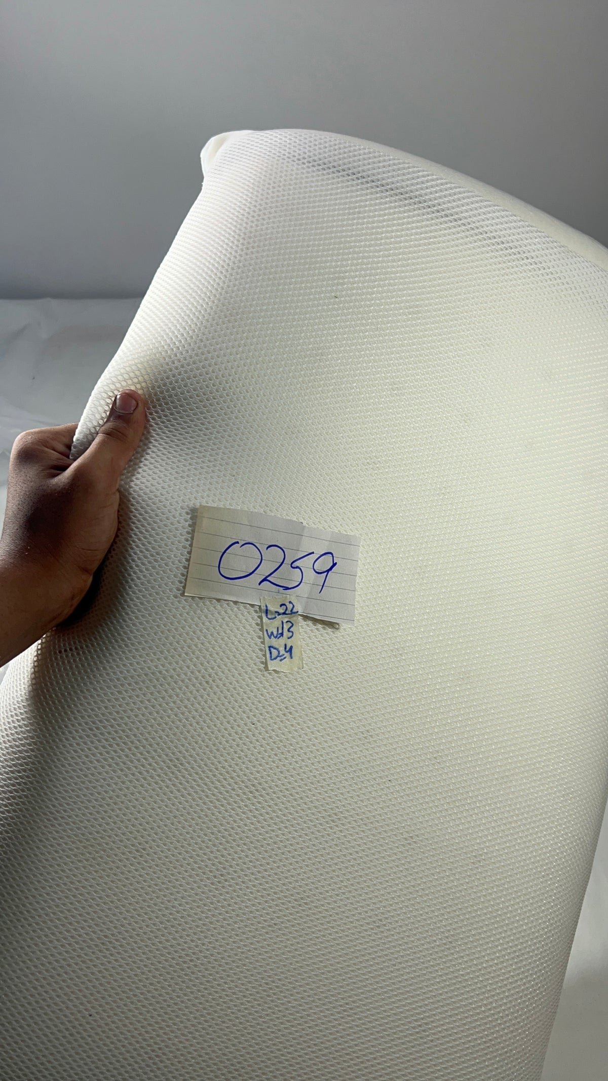 Germ Free Sanitized Premium Imported Memory Foam Pillow – P0259