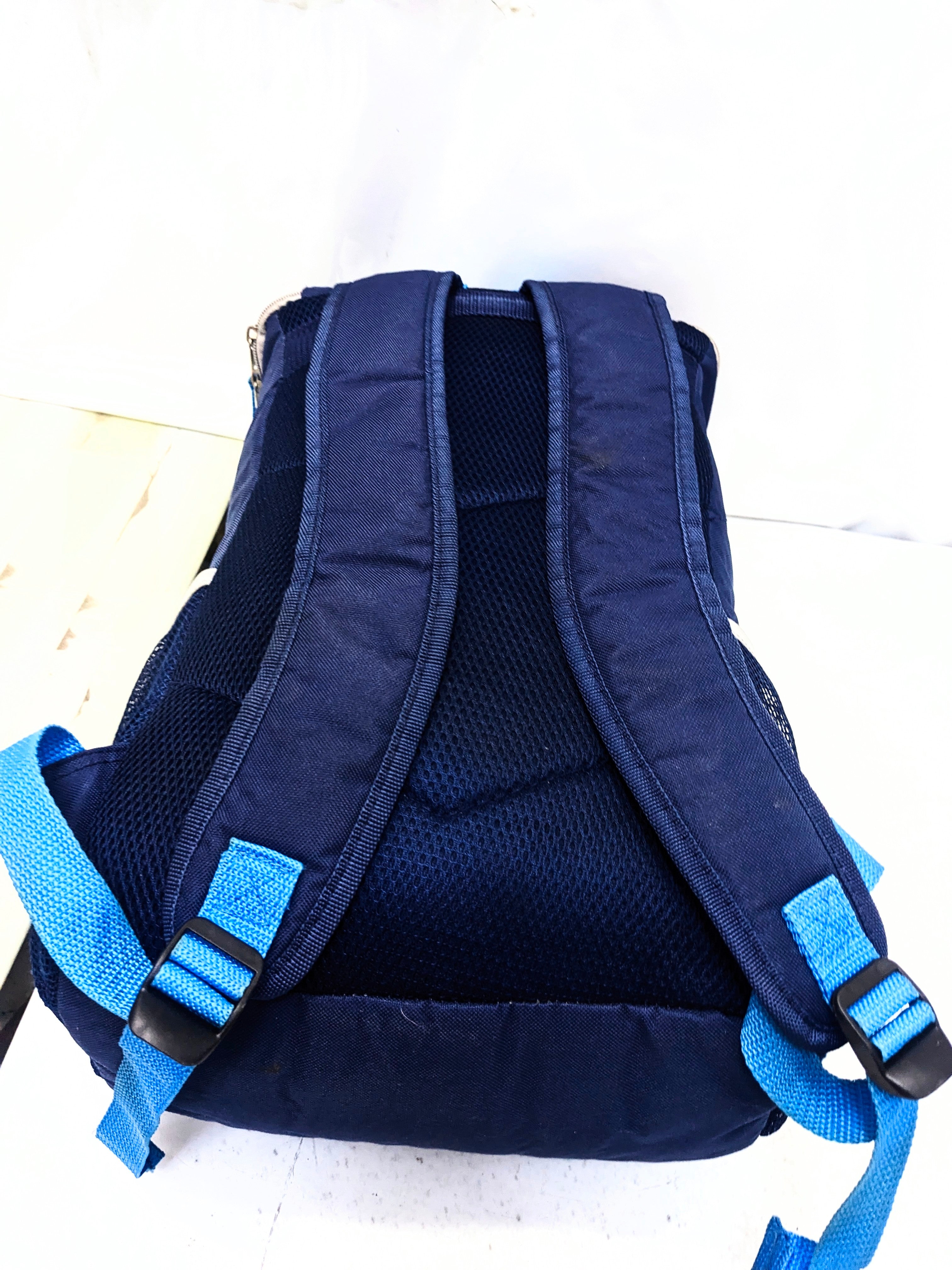 Ice backpack, cooler backpack