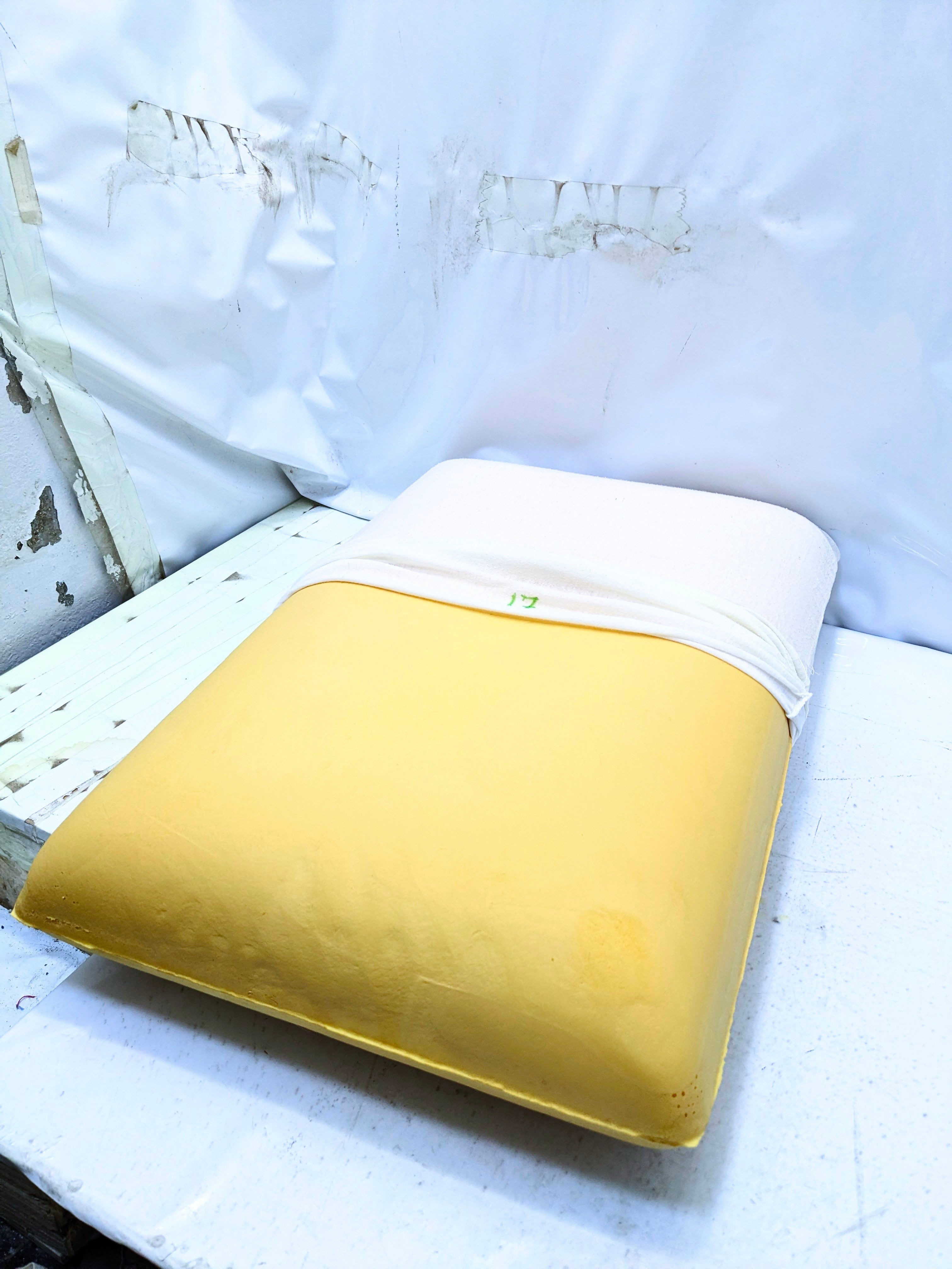 Memory foam orthopeadic Foam Pillows p17