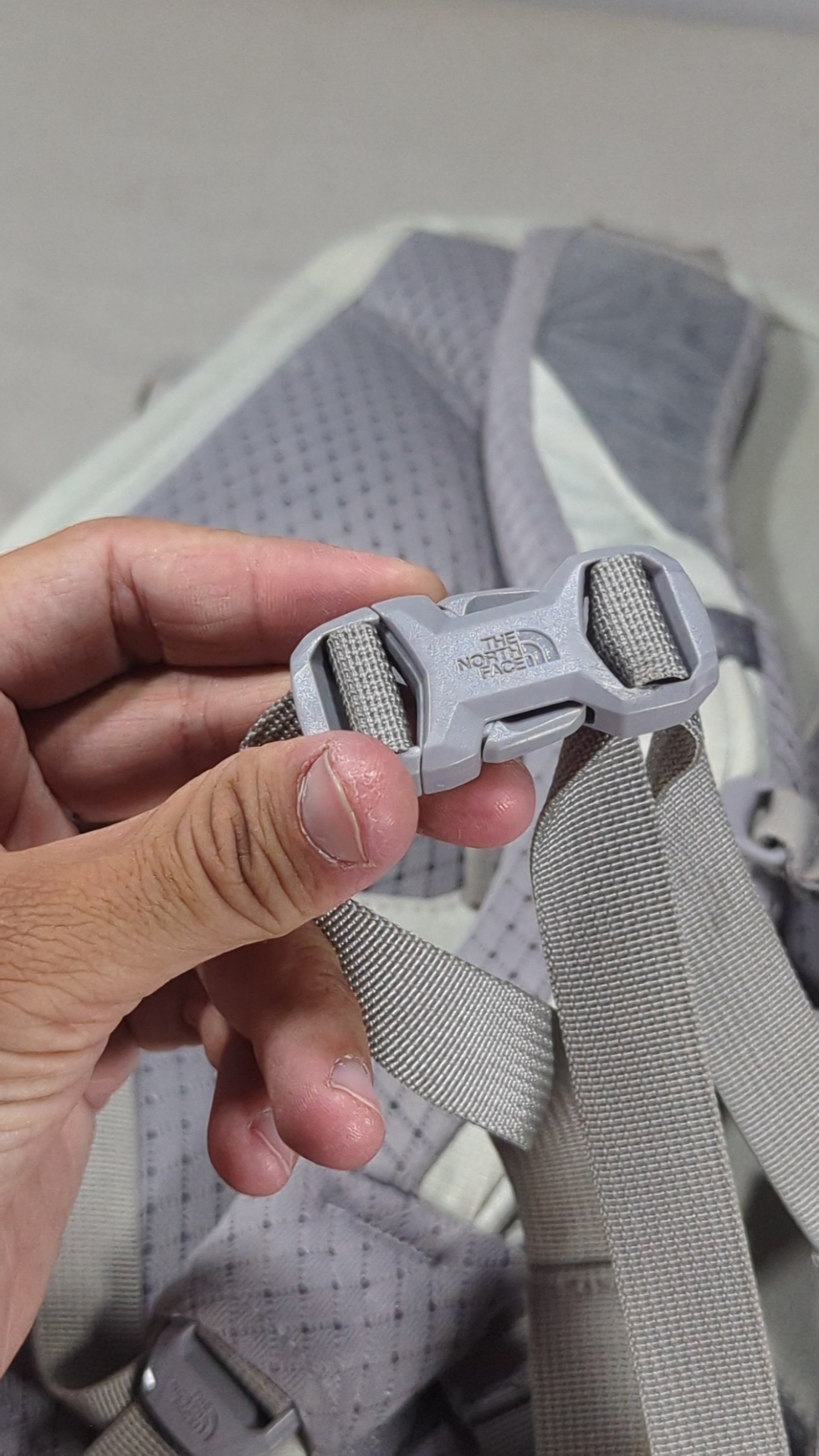 The north face Original guaranteed backpack Ab3
