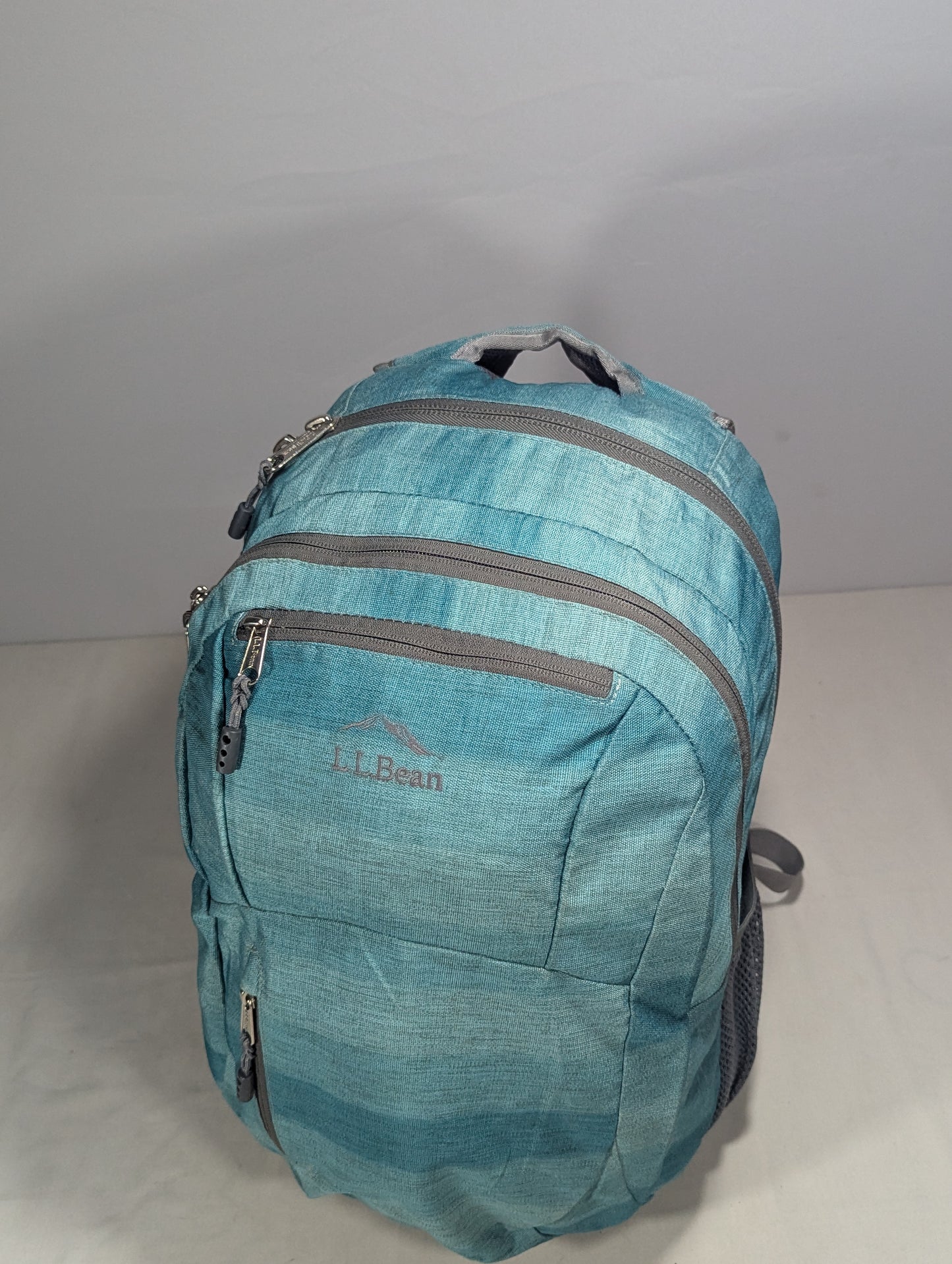 L L Bean imported lot backpack   U25