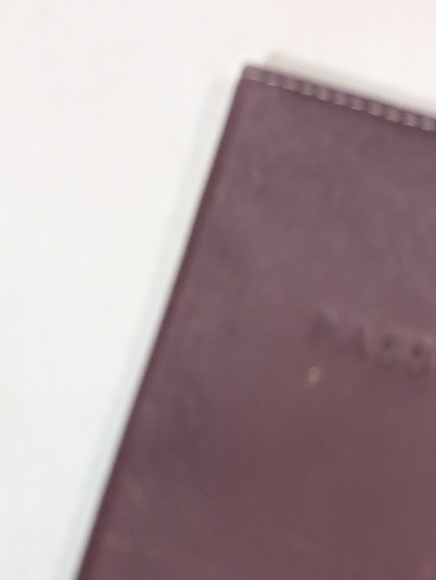 Passport holder U15