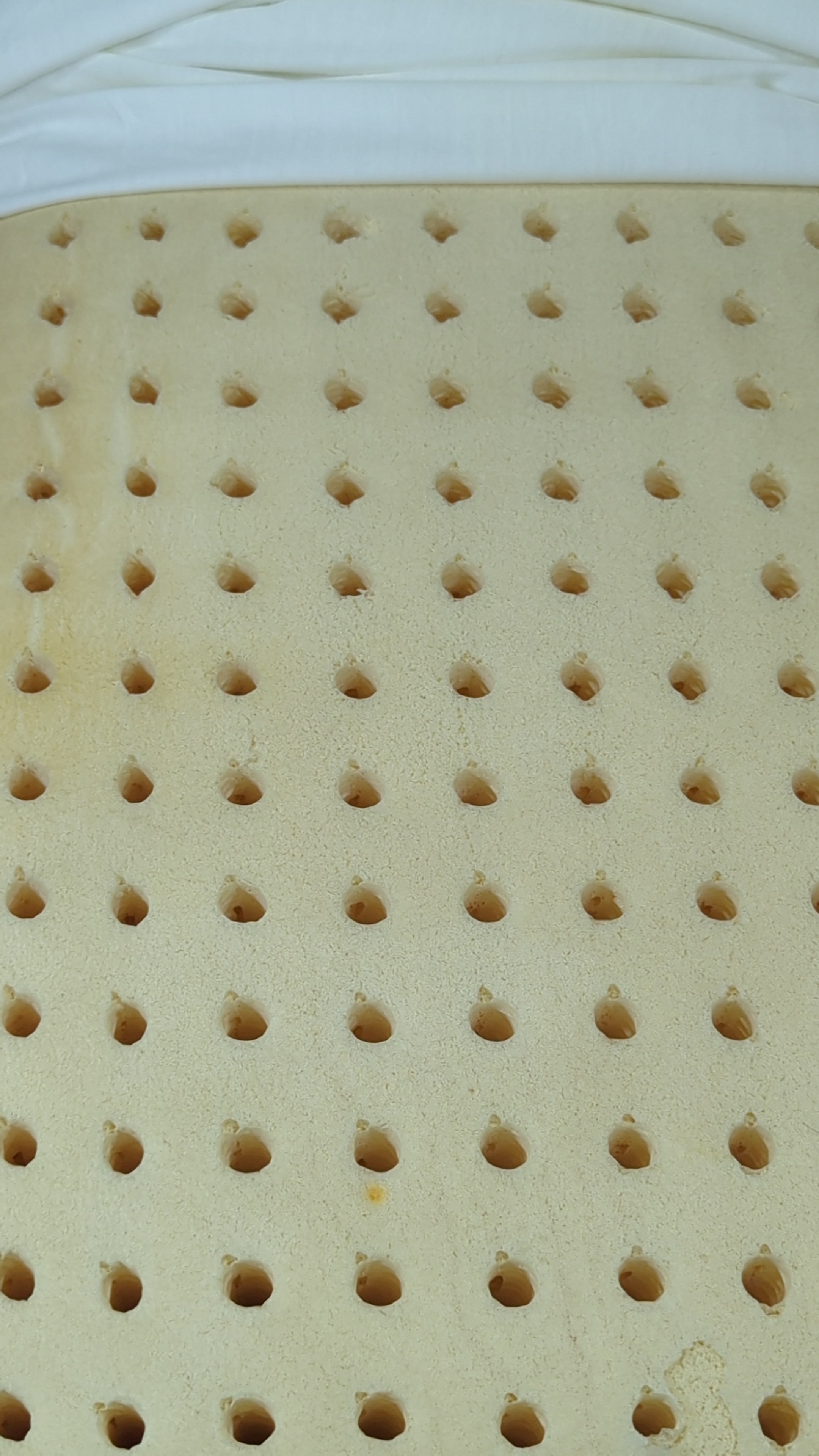 Latex material made, Orthopedic Pillow with Contour Neck Design p28