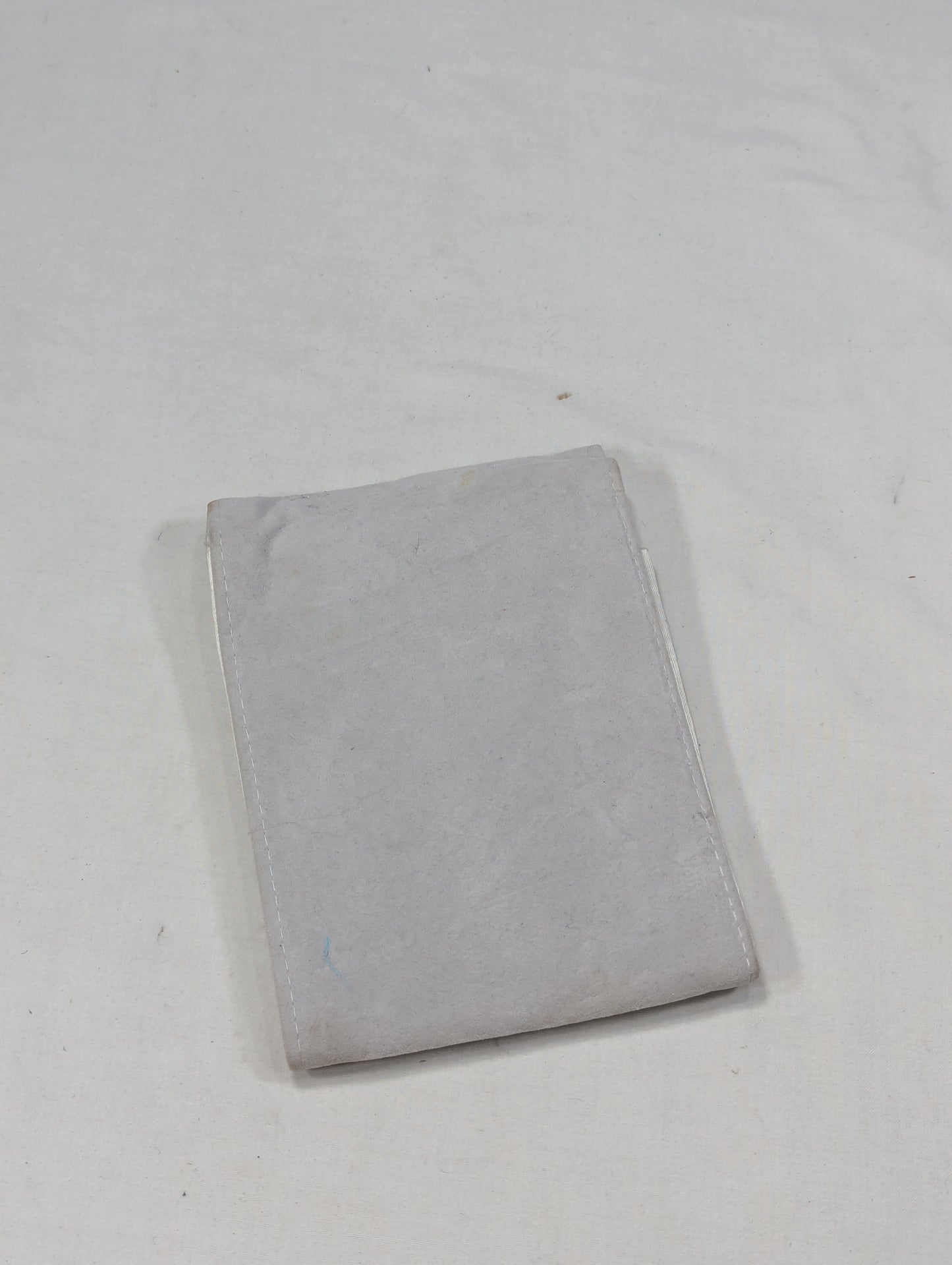 Christian Dior pouch bag