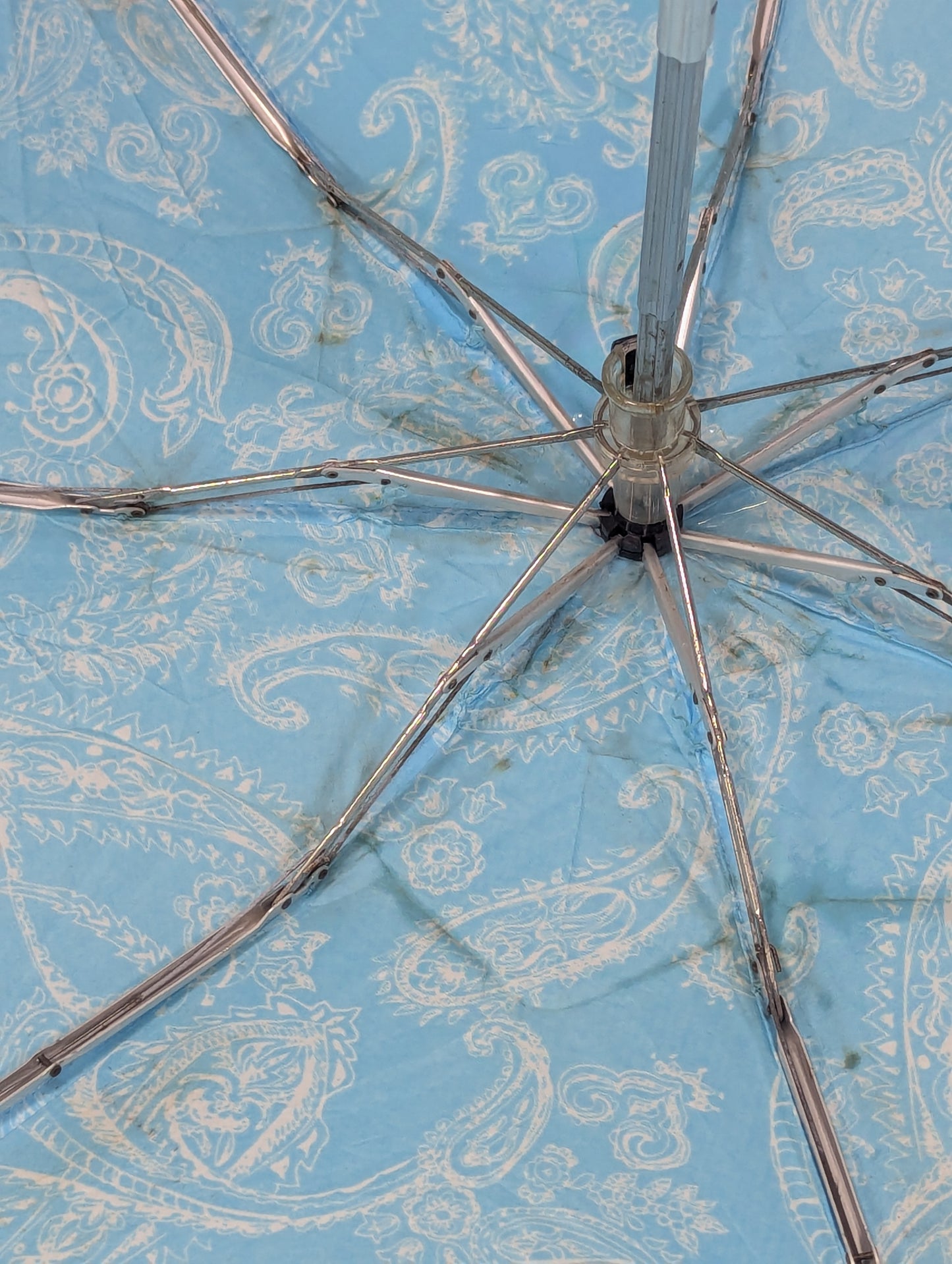 imported lot Umbrella from German lot