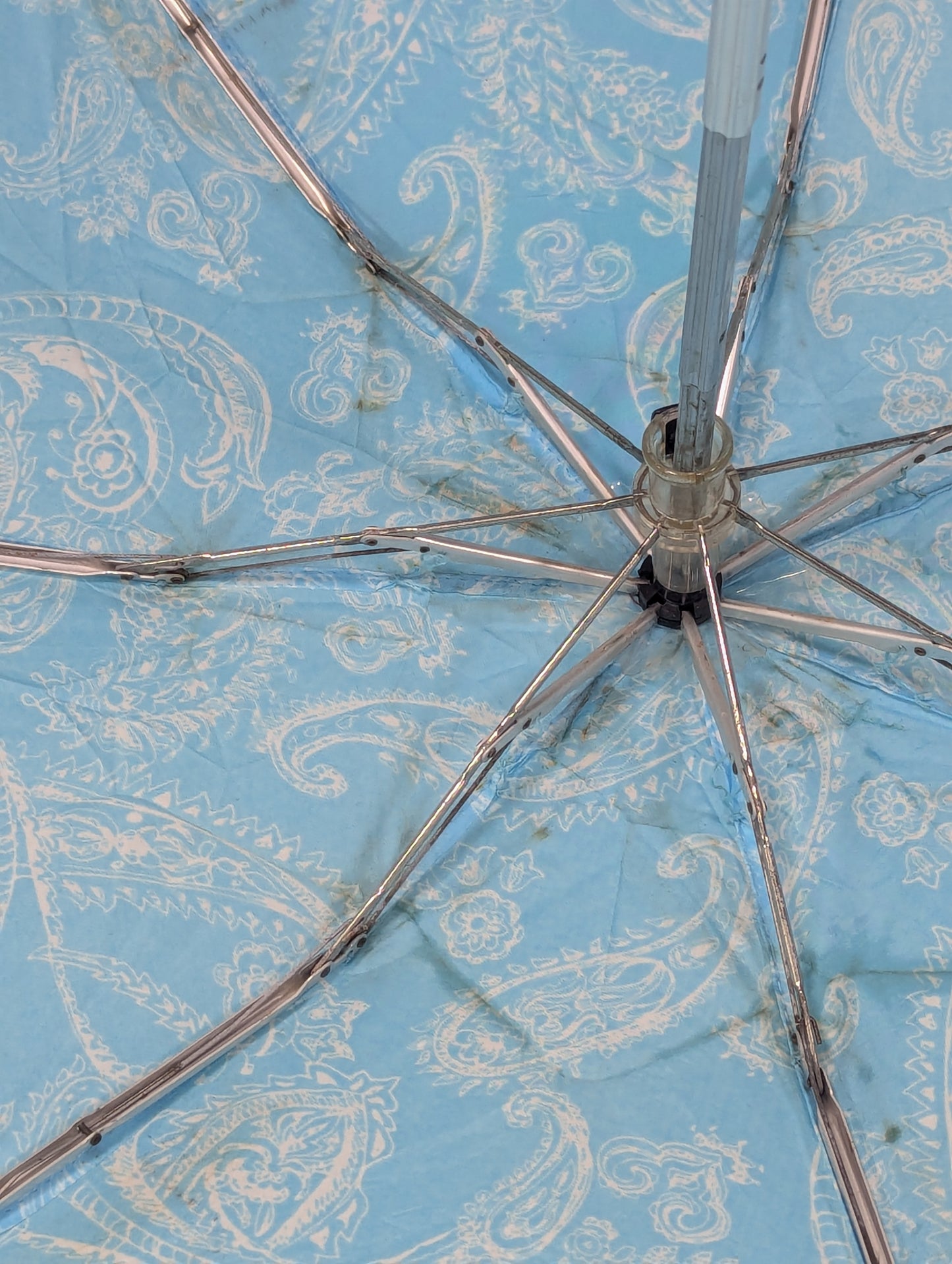imported lot Umbrella from German lot