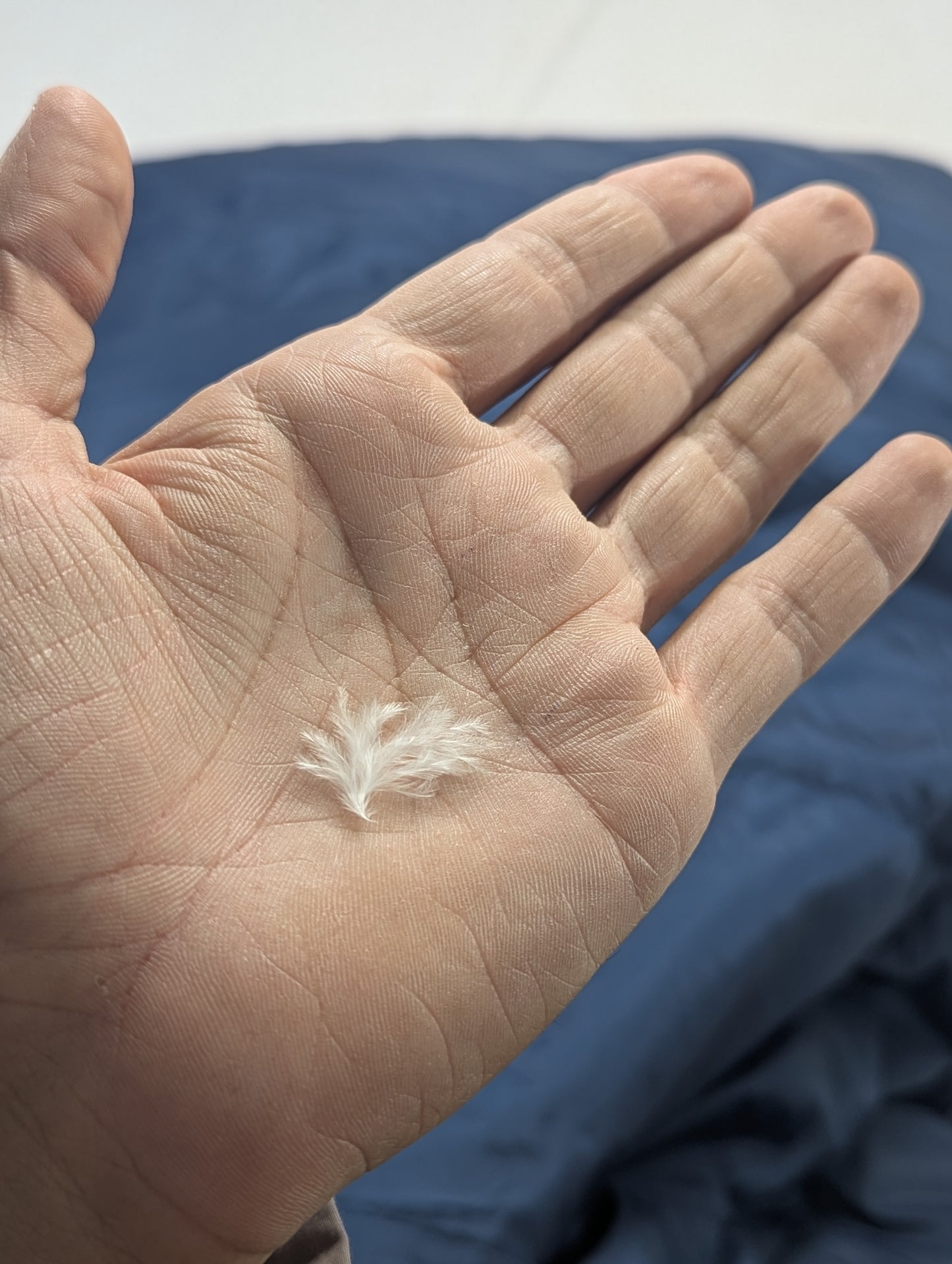 Down Feather USA lot sleeping bag Sb57