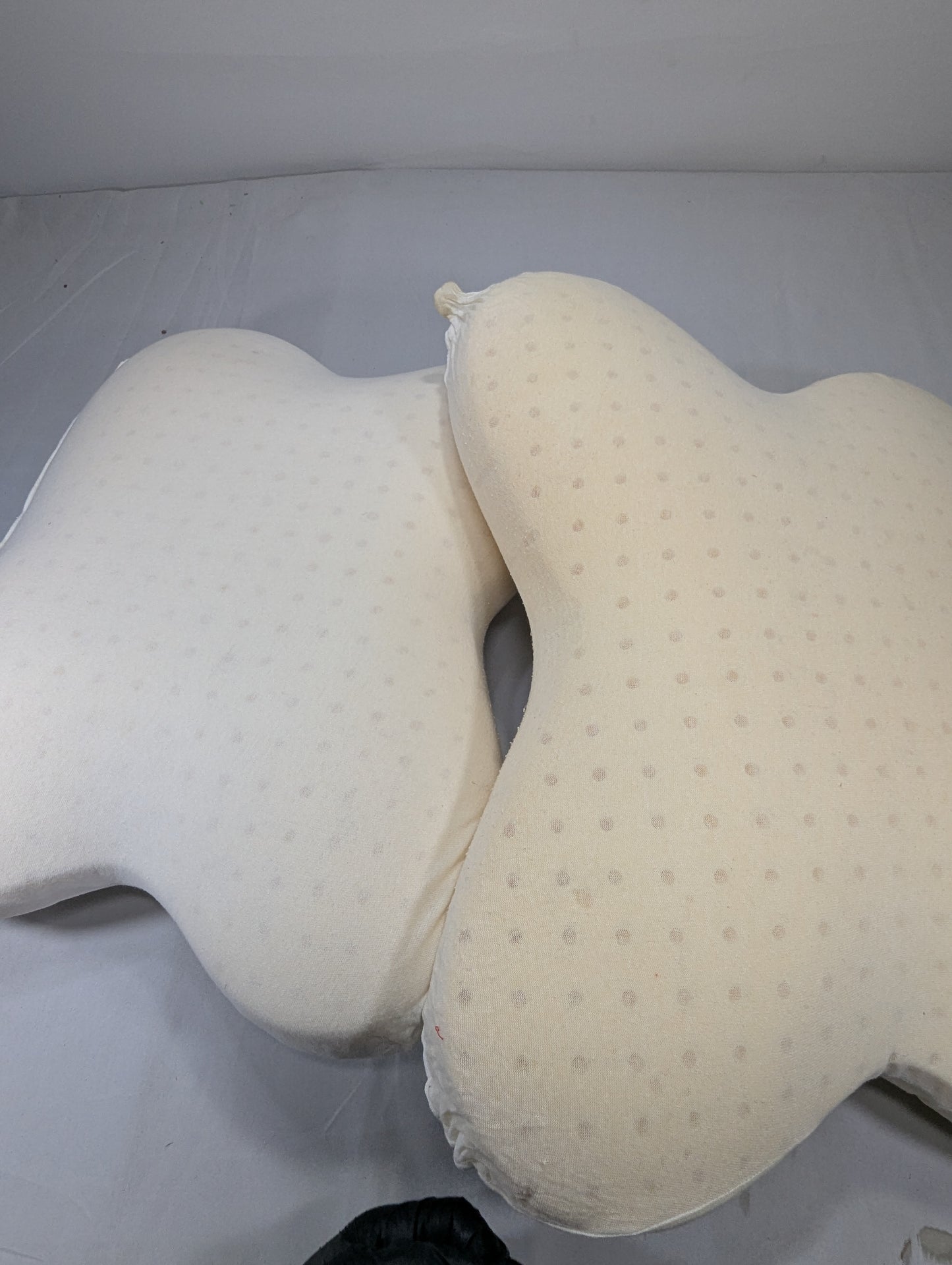 USA Lot Sanitized Germ Free Memory/ Medicated Pillow pack of two