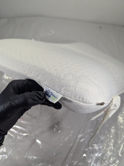 Imported Authentic Memory foam Pillow P0108