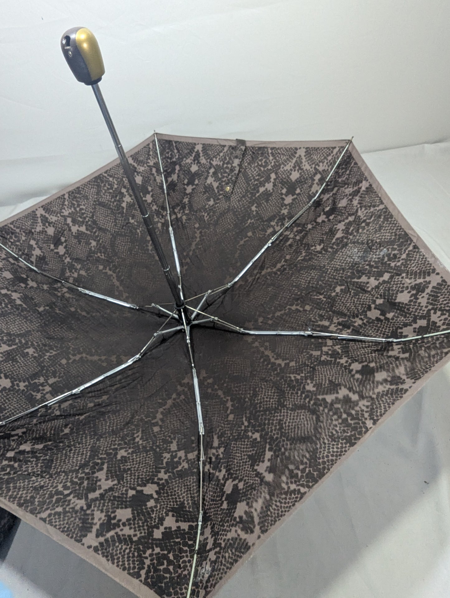 Imported Umbrella Title will update soon