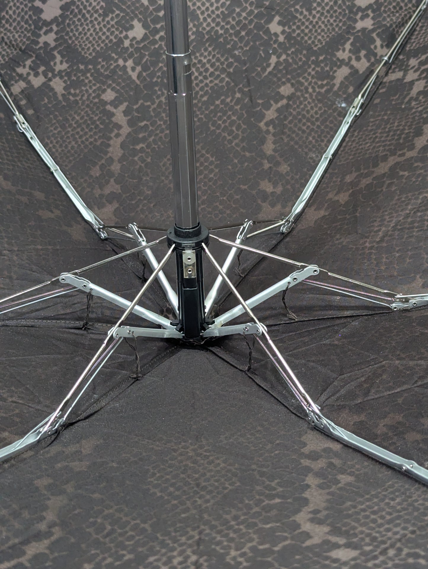 Imported Umbrella Title will update soon