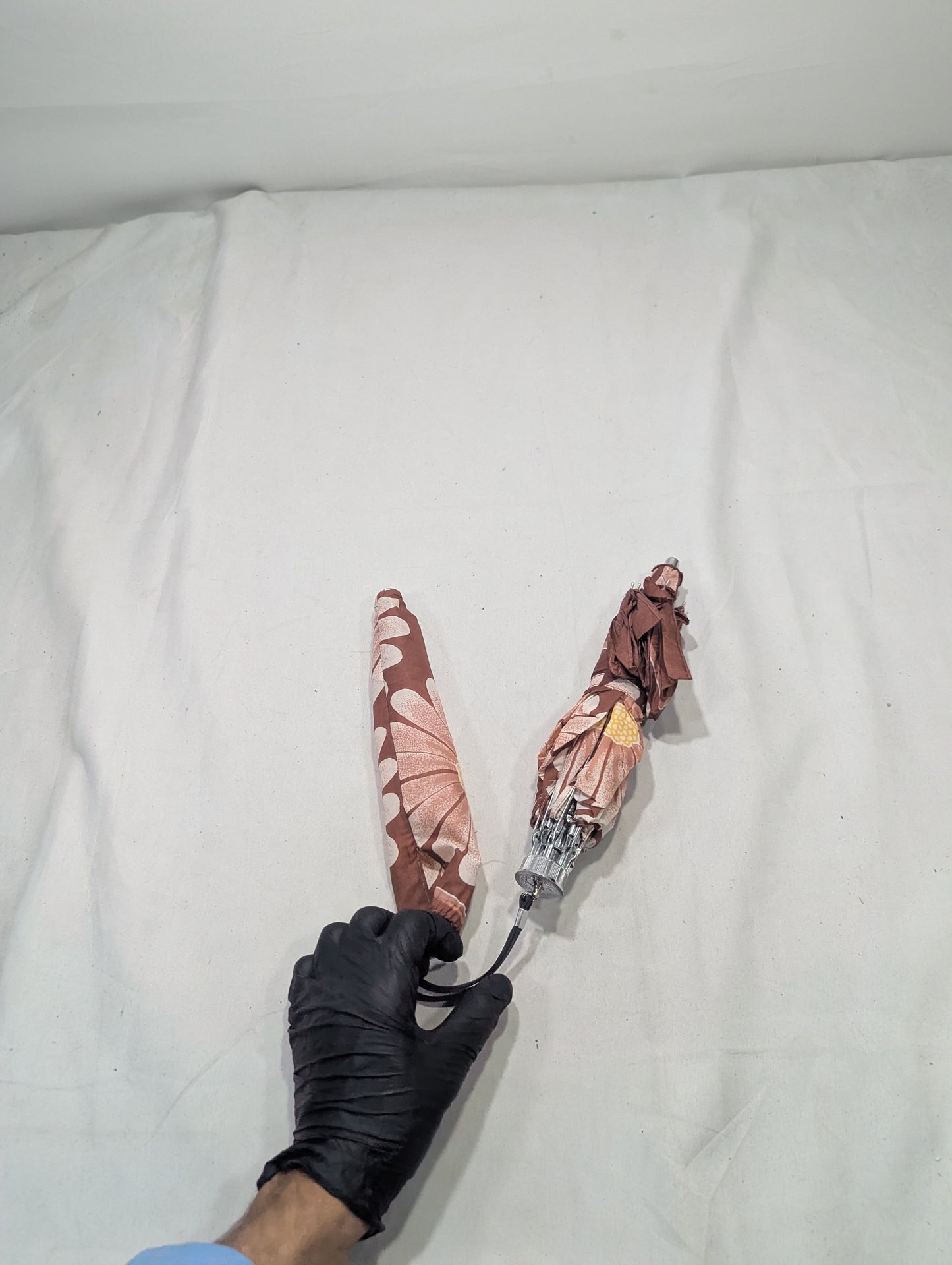 Imported Umbrella Title will update soon