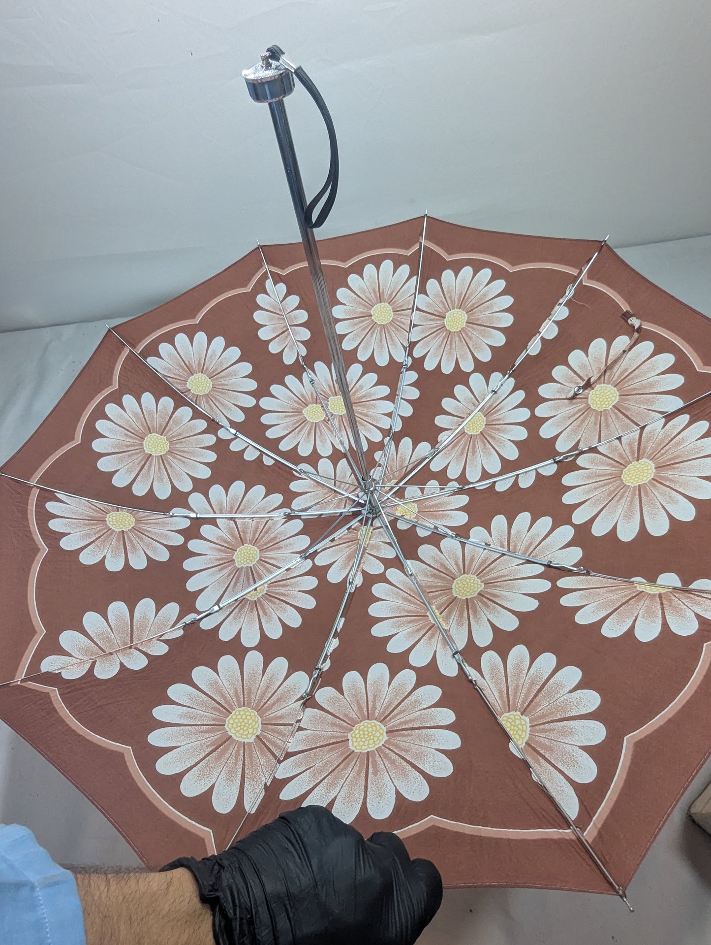 Imported Umbrella Title will update soon