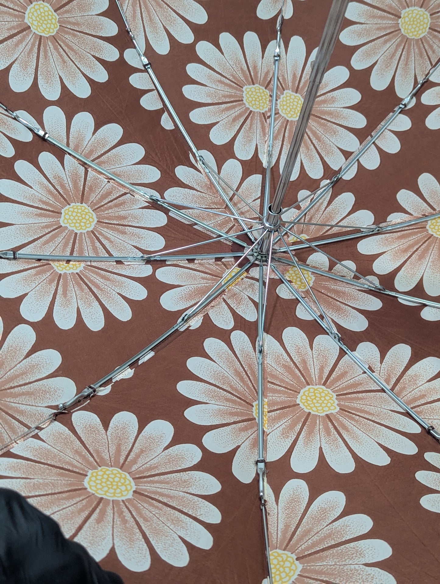 Imported Umbrella Title will update soon