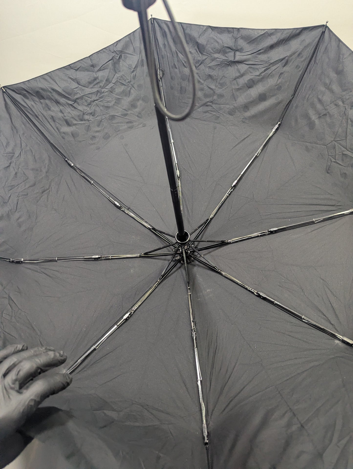 Imported Umbrella Title will update soon