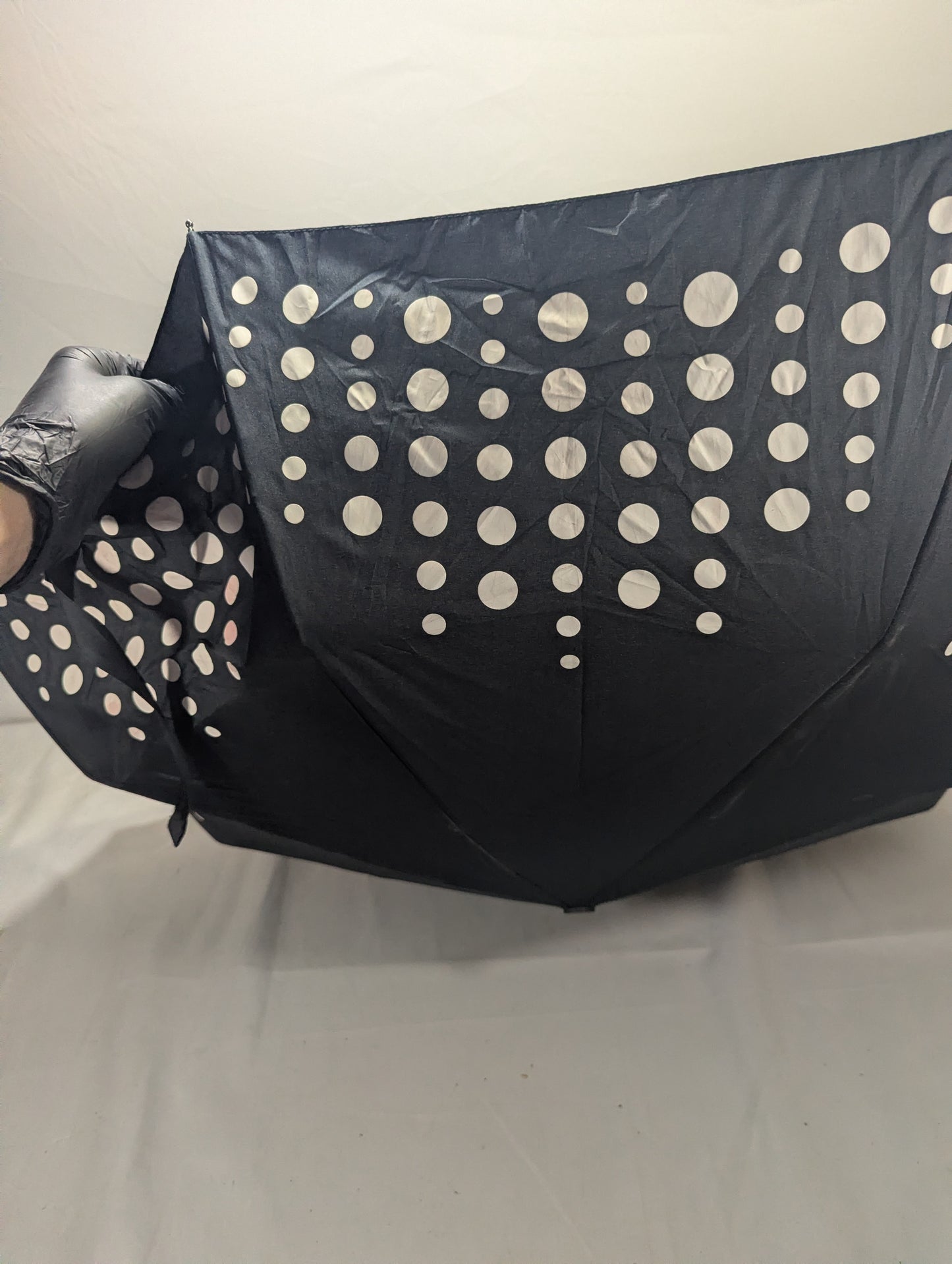 Imported Umbrella Title will update soon