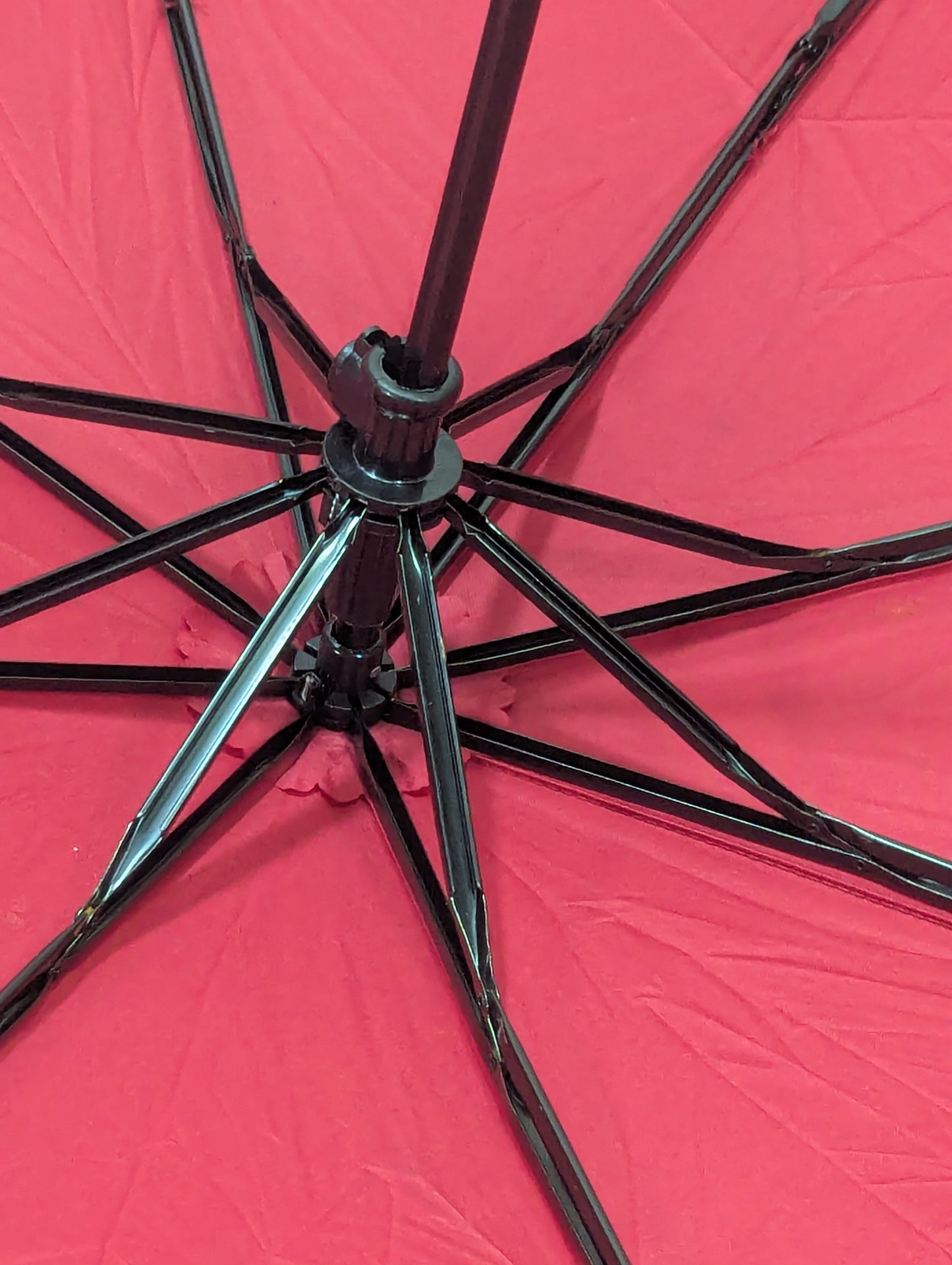 Imported Umbrella Title will update soon