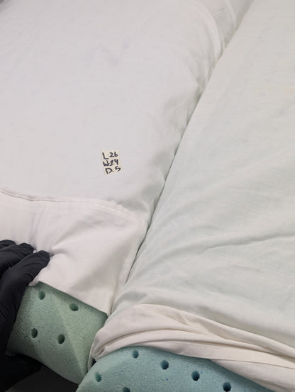 Pair Imported Lot Memory foam Pillow P0191