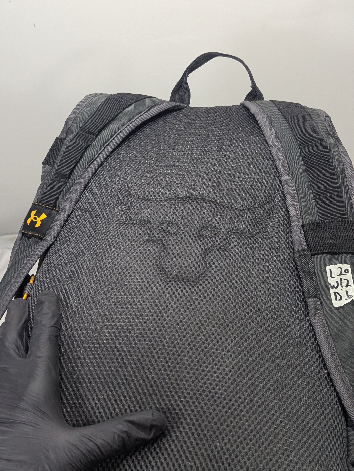 UA Bull Title will update soon