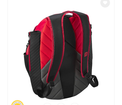 Demorani USA lot authentic backpack