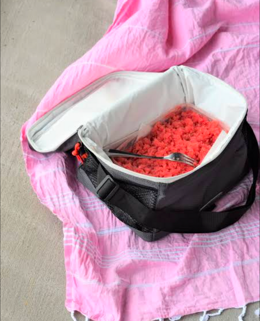 Ice pack cooler bag U2