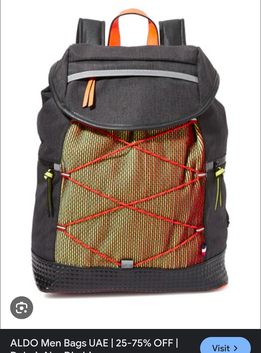 Aldo Men Stylish backpack