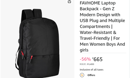 Thinkpad authentic backpack