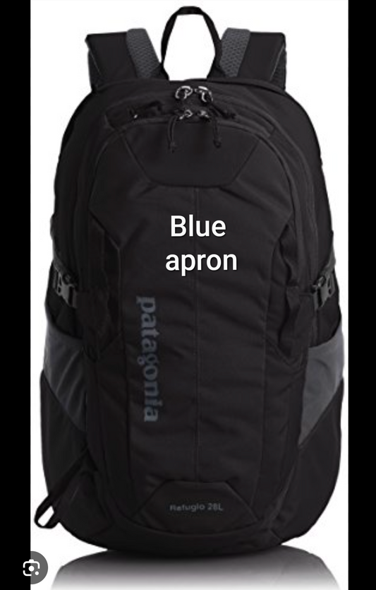 Patagonia black color backpack
