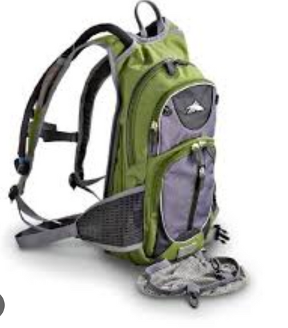 High Sierra mini backpack
