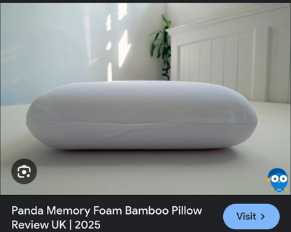 USA Lot Sanitized Germ Free Memory/ Medicated Pillow P73