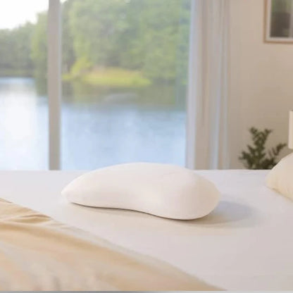 Germ Free Sanitized Premium Imported Memory Foam Pillow – P0266