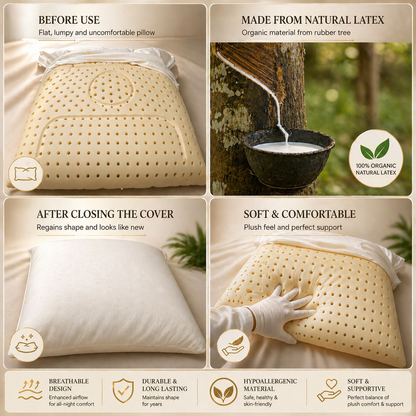 LATEX Imported Lot Memory foam Pillow P0201